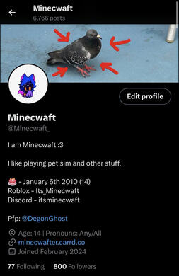 800 Followers