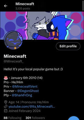 300 Followers